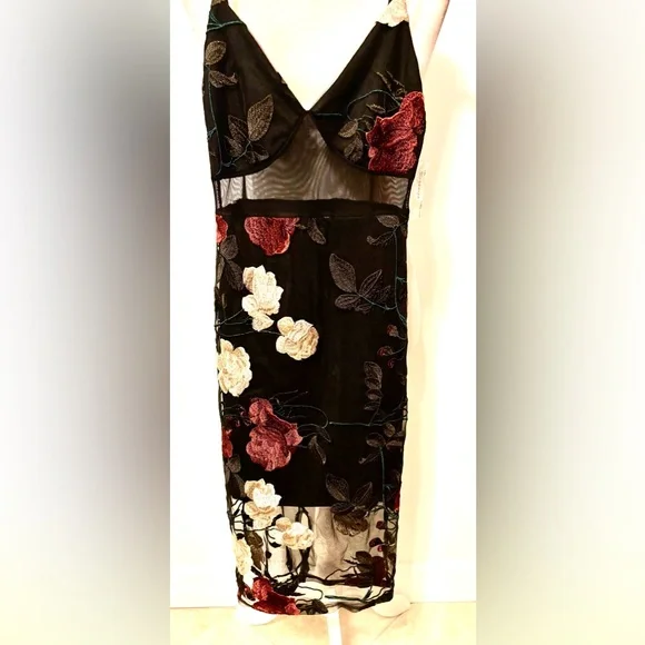 NWT Beautiful Blue Blush Dress with Red and White Floral Details - Picture 2 of 15